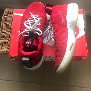 Lebron 15s low